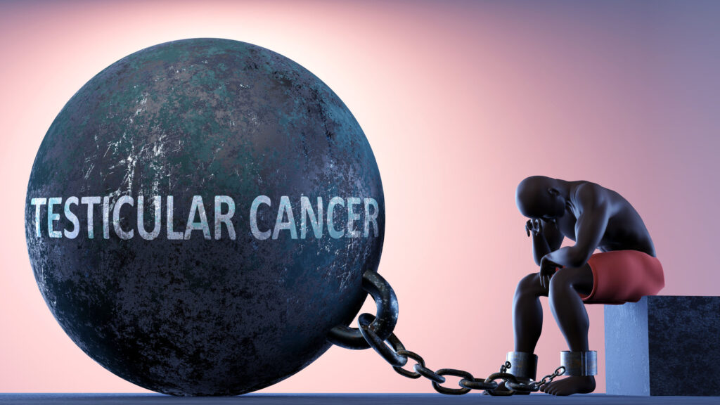 Testicular Cancer Spot the Symptoms Early