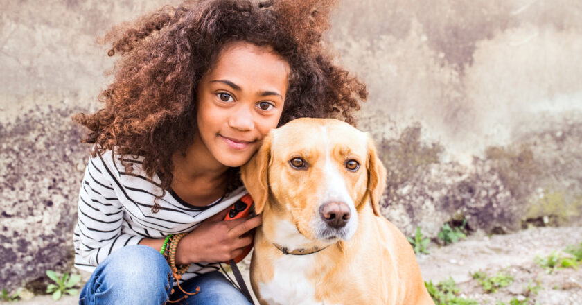 Laws every dog owner must follow – or face jail and £20,000 fines