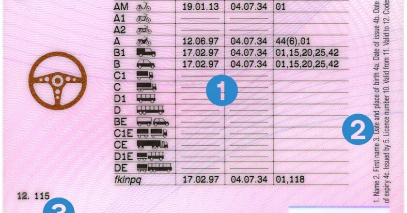 Motorists urged to check the back of their driving licenses