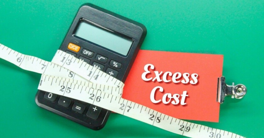 Energy Price Guarantee