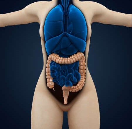 Bowel cancer screening