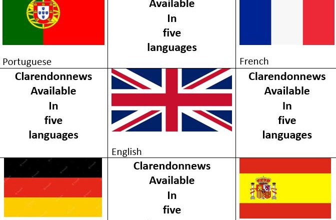 Breaking Barriers: Our Website Now Available in Five Languages!