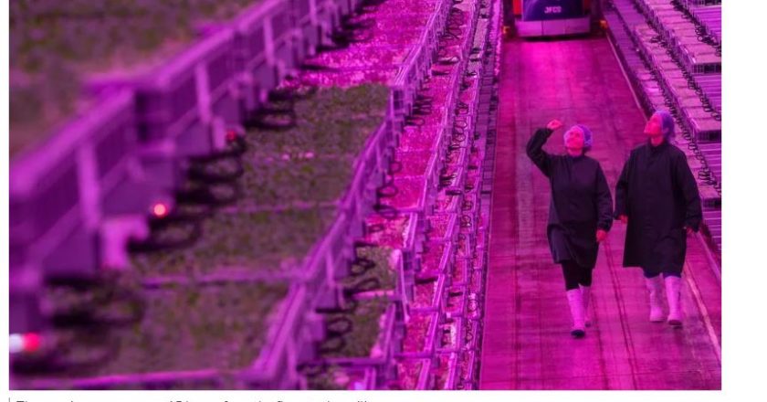 Gloucestershire vertical farm is one of UK’s ‘most advanced’